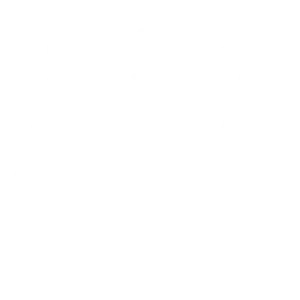 Abarca Wilson Law Office